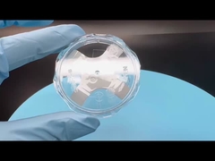 Caixa PE ou PP de Bolacha de Safira Embalagem Única Bolacha de 2-12